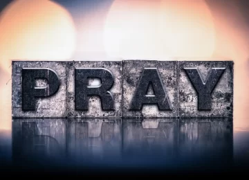 Photo: enterlinedesign