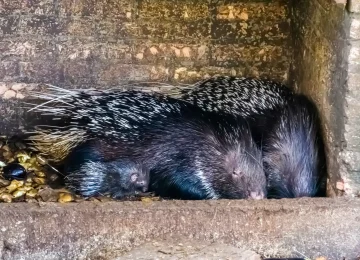 Photo: charlottebleijenberg