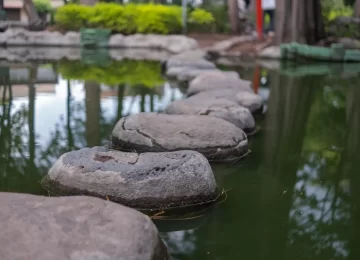 Close-up of stepping stones path on pond with blurry trees as background. Peaceful view of greenish water and rocks in Masayoshi Ohira Park. Classic architecture and outdoors